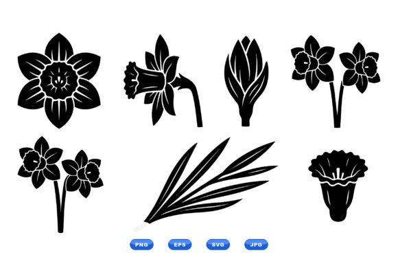 Daffodil Floral SVG Clipart Graphics and Illustrations Review