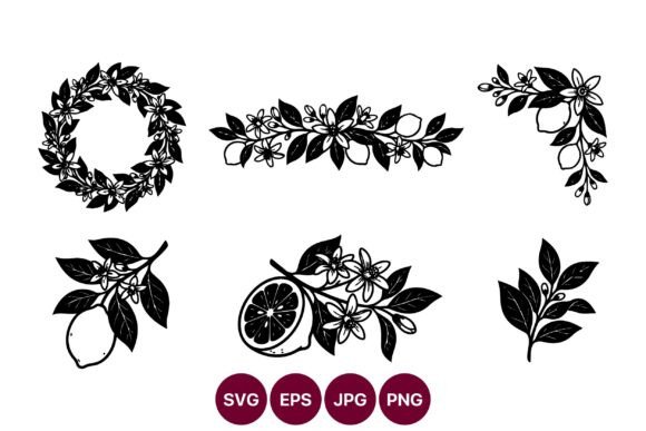 Floral Lemon Line Art Bundle Review