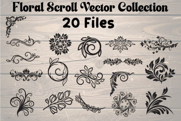 Floral Scroll Vector Collection Graphics and Illustrations Review