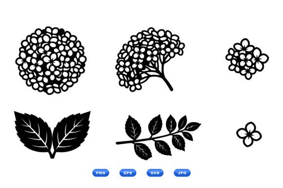 Hydrangea Floral SVG Clipart Graphics and Illustrations Review