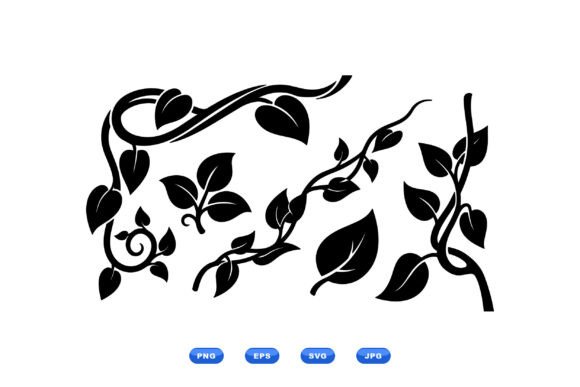 Leaf Vine Floral Clipart Graphics and Illustrations Review