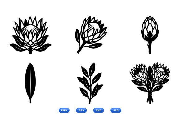 Protea Floral SVG Icons: Graphics and Illustrations for Editorial Design