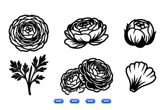 Ranunculus Floral SVG Icons Graphics and Illustrations