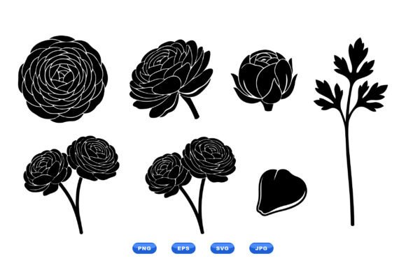 Ranunculus Floral SVG Pack: Graphics and Illustrations for Branding