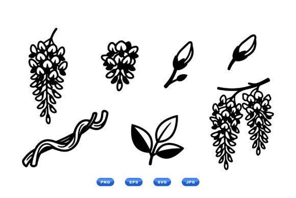 Wisteria Floral SVG Clipart Graphics and Illustrations Review